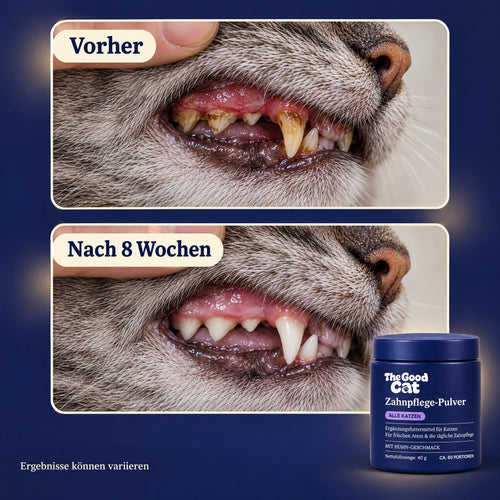 The Good Cat® Zahnpflege-Pulver Pro