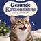 E-Book für gesunde Katzenzähne