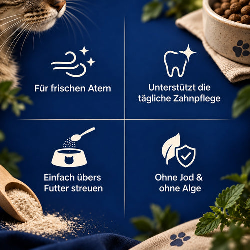 The Good Cat® Zahnpflege-Pulver Pro
